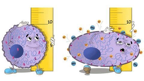 How Do Cancer Cells Escape Crowded Tumors?