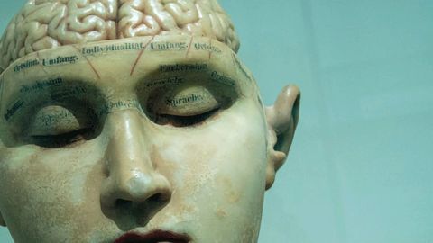 Imaging Study Suggests Fear and Anxiety Are Not Orchestrated by Distinct Neural Networks