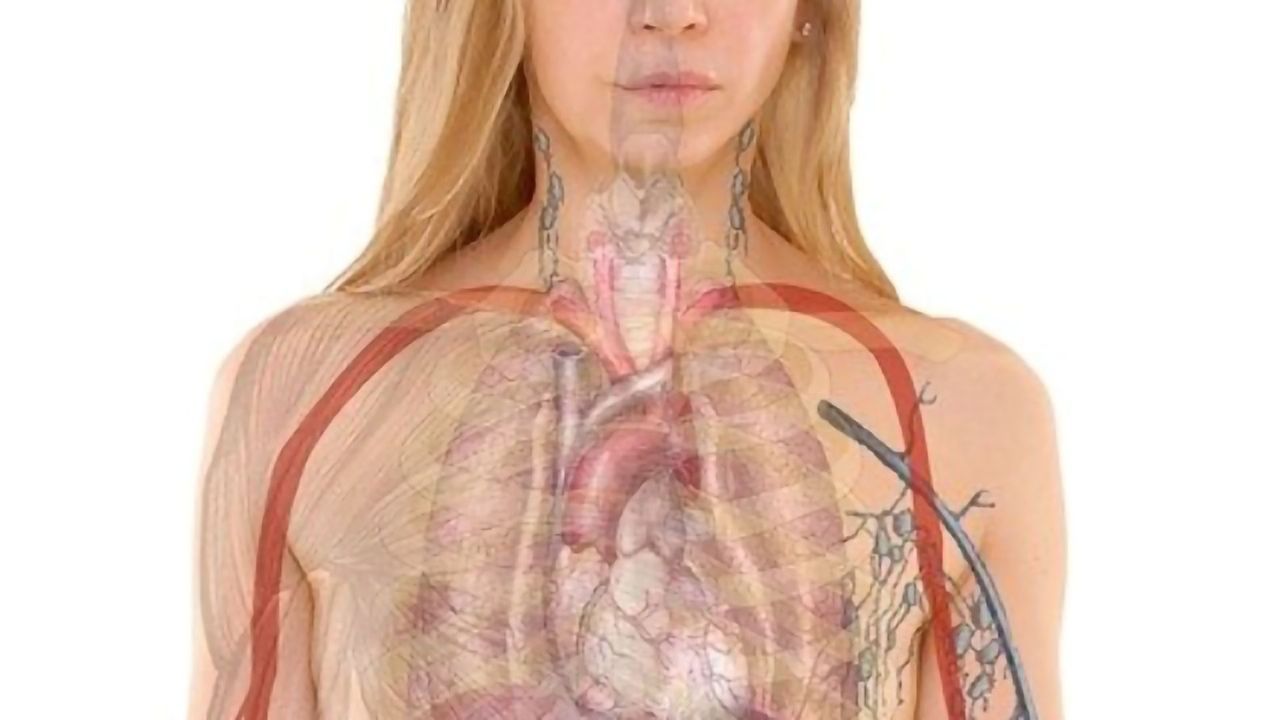 NMR Offers Targeted Measurement of Thyroid Hormone Action in Tissue