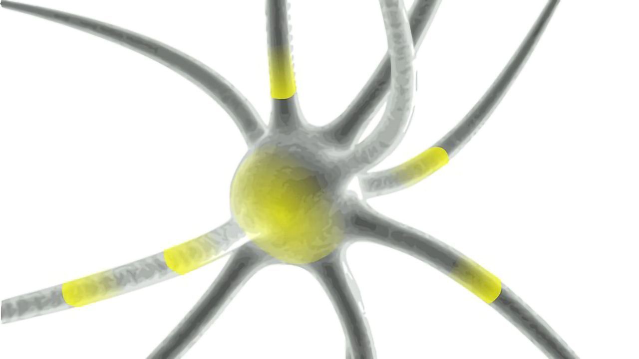 Anti-Inflammatory Drug Reduces Disease Progression in Preclinical Model of MS