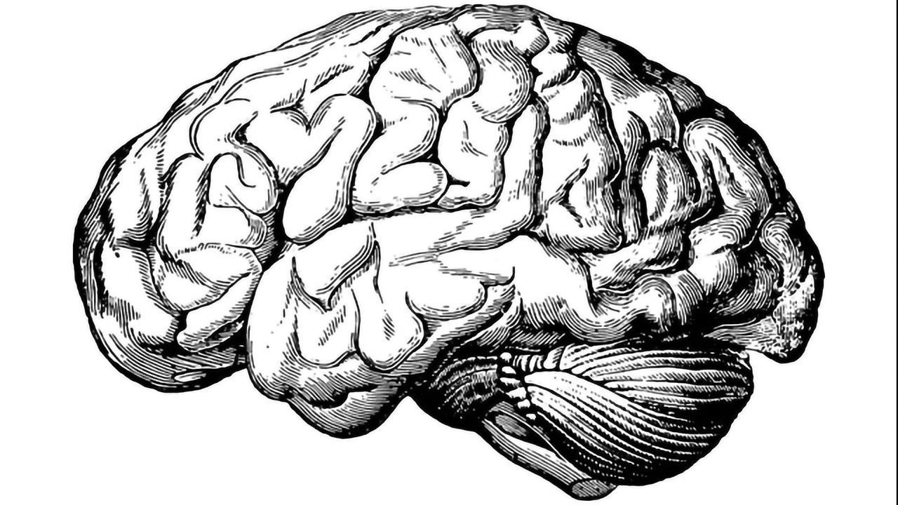 What Lies Between Grey and White in the Brain