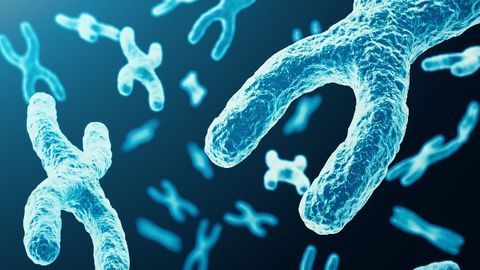 Major Step Toward Angelman Syndrome Gene Therapy