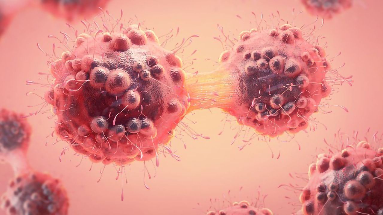A Potential Target for Chemo-Resistant Cancer Cells