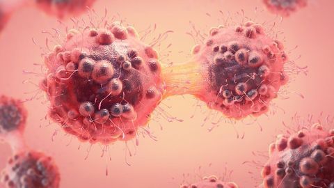 A Potential Target for Chemo-Resistant Cancer Cells
