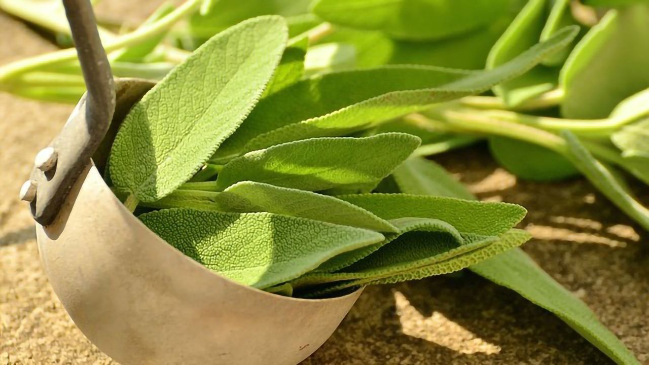 Popular Herb Found To Be Heavily Adulterated