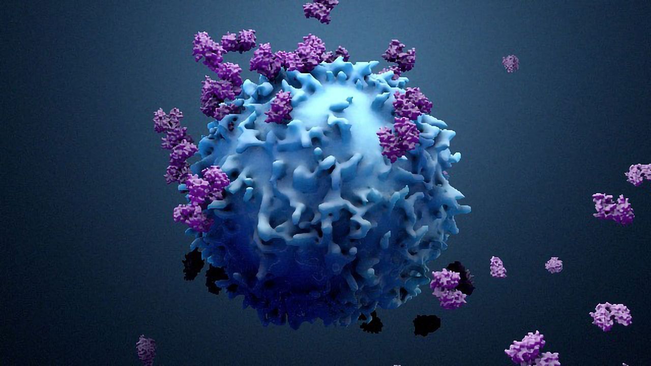 Heidelberg Pharma Contracts ProBioGen for Cell Line Development and Manufacturing Services