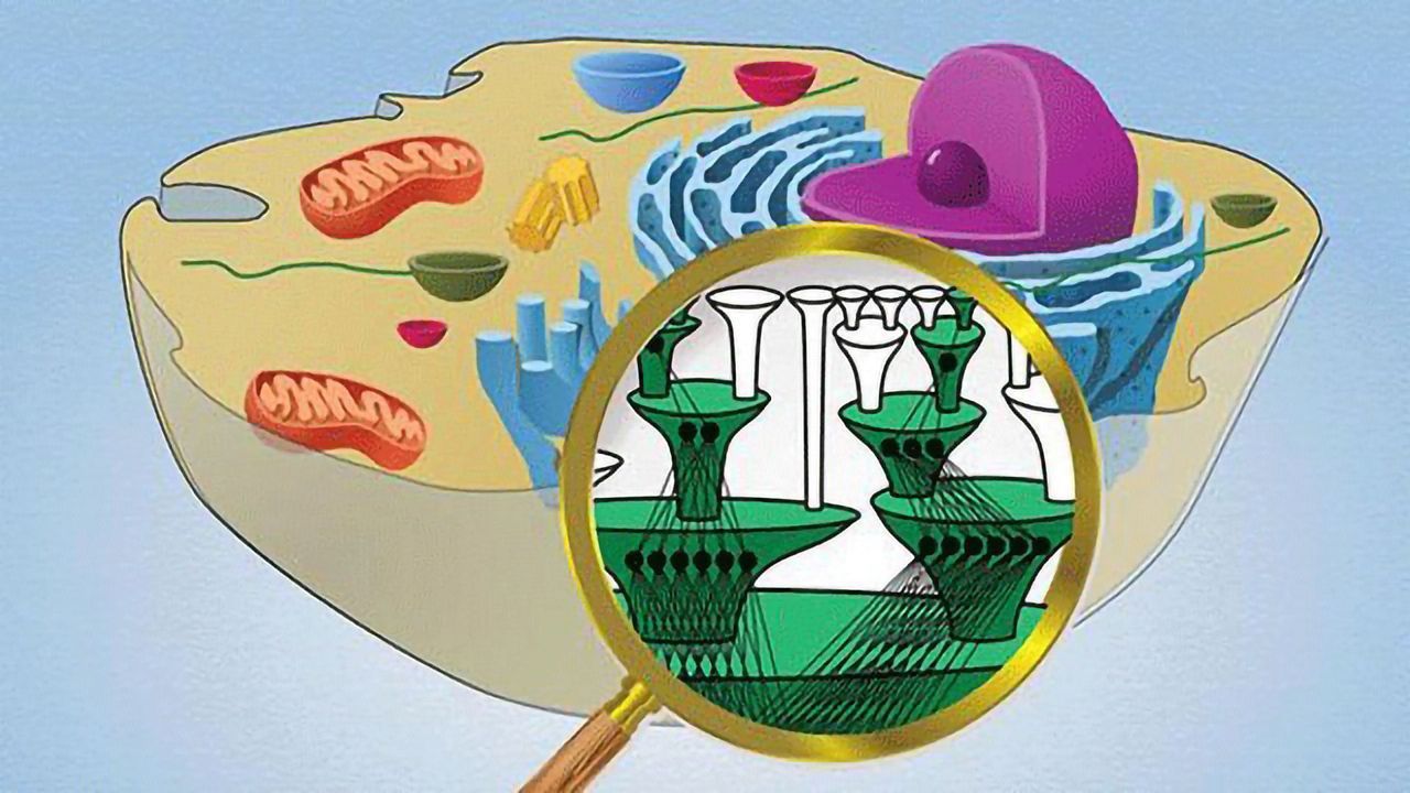 AI Platform Matches Tumor to Most Effective Drug Combo