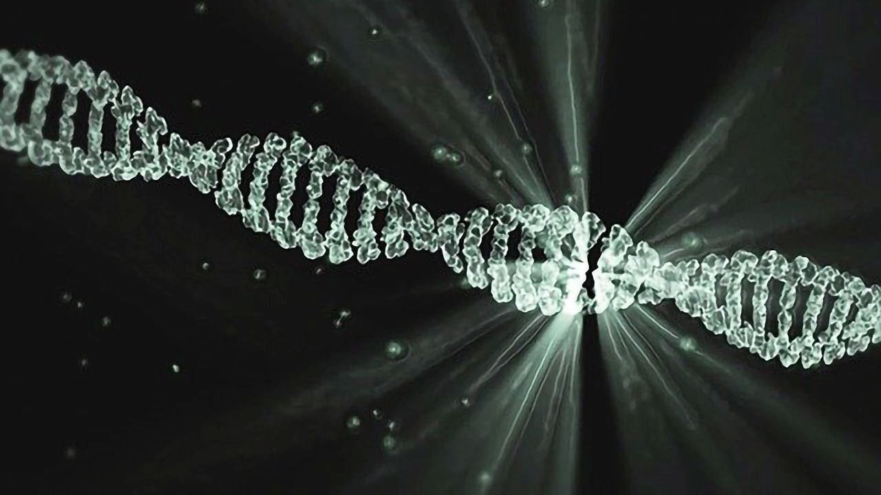 Ancient DNA Elements Can Activate a Powerful Immune Response to Cancer Cells