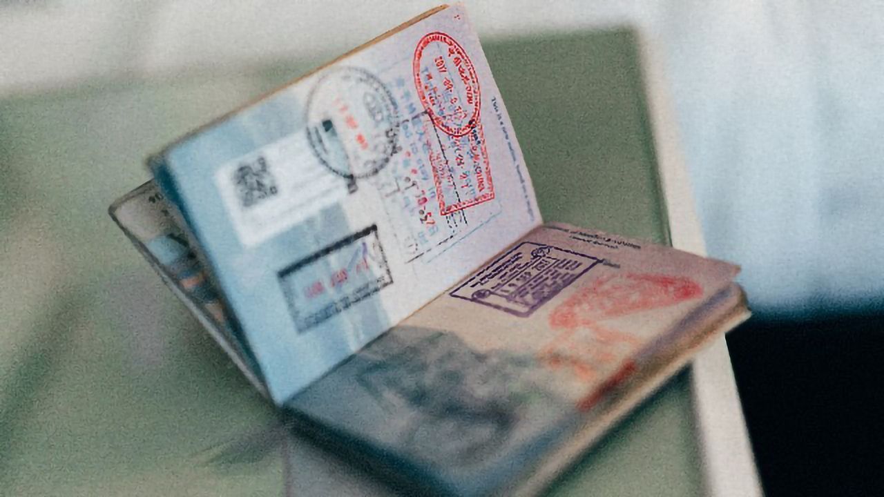 Like a Stamped Passport, SARS-Cov-2 Mutations Tell a Tale of Its Transmission in the US
