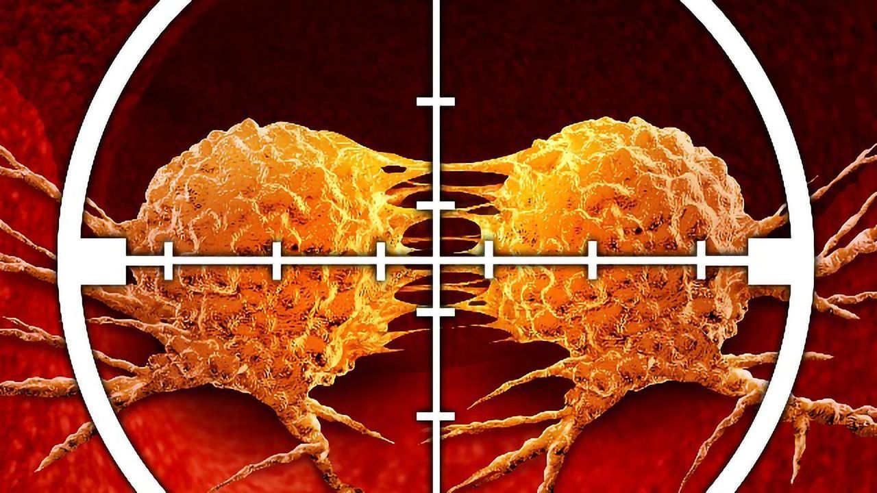 A Novel Therapeutic Strategy Against Leukemia
