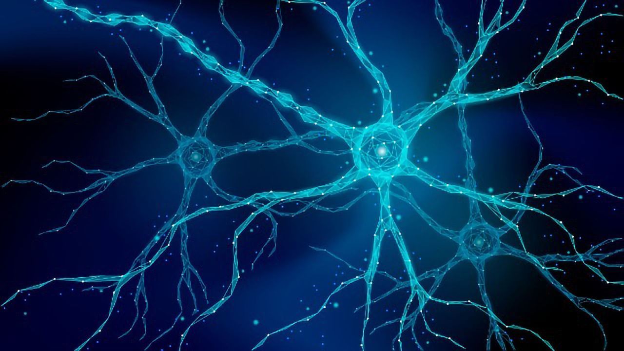 Possible Role For Newly Discovered Immune Cell Population in MS