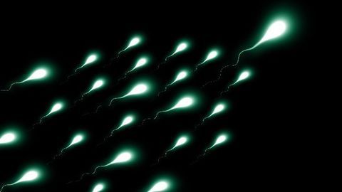 “Jumping” Genes, Heat Stress and Fertility