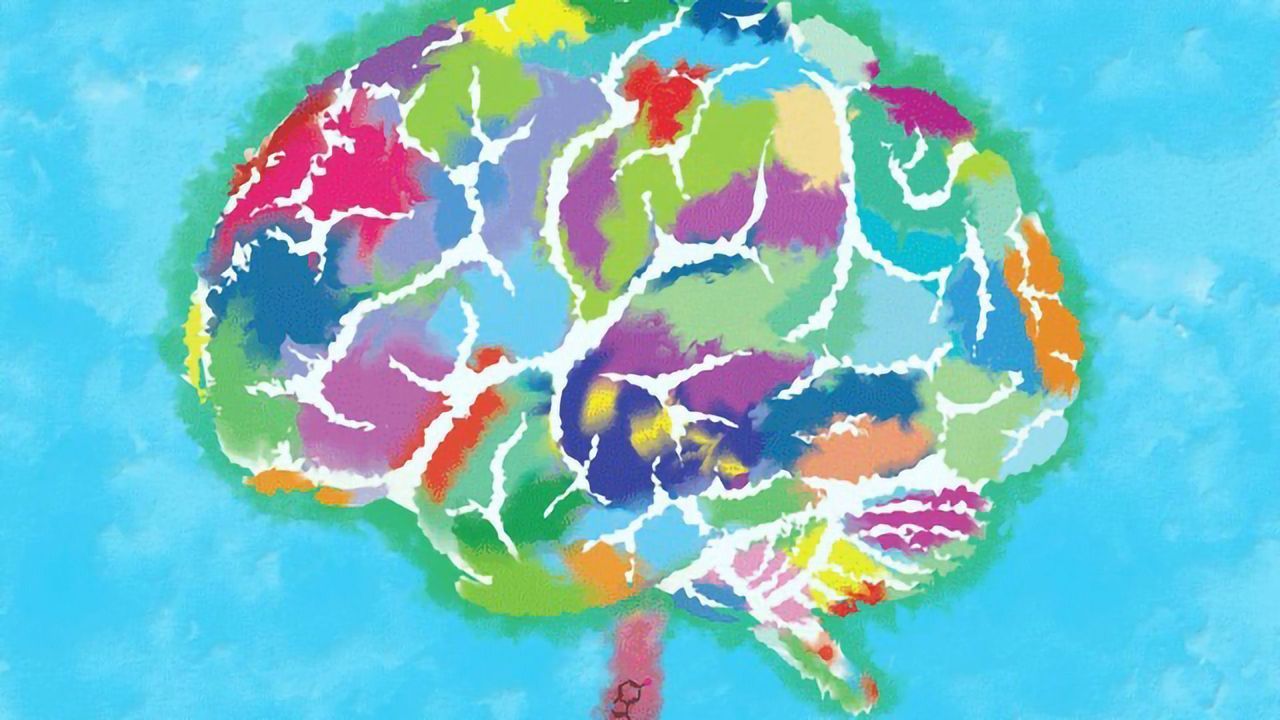 Happiness and the Evolution of the Human Neocortex