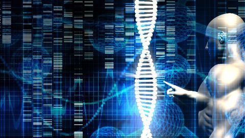 “CHESS” Tool Helps Spot the Difference in Genome Organization