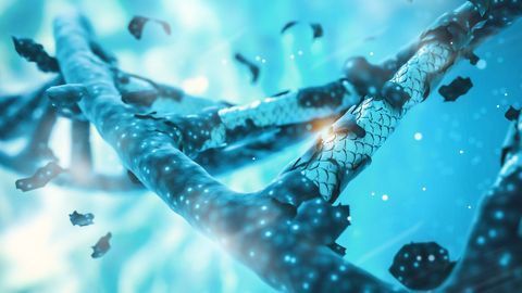 Scientists Knock-Out All Human Genes To Identify Which Ones SARS-CoV-2 Requires