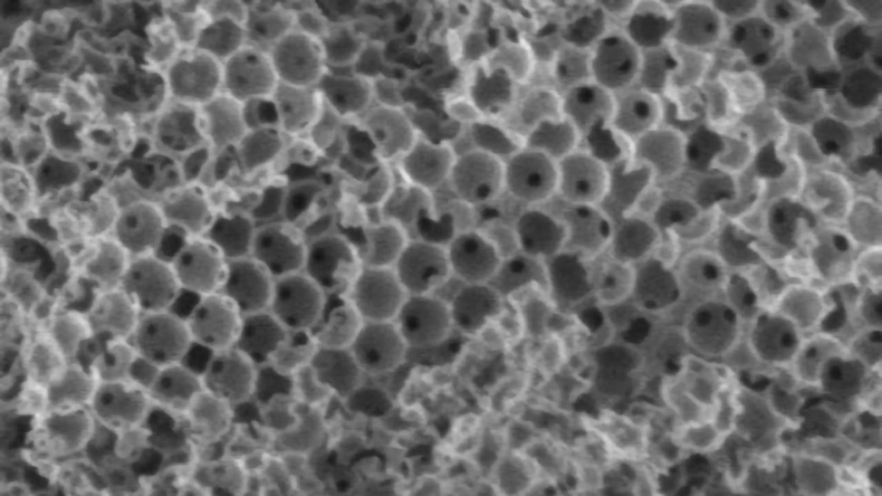 Turning Dirty Old Cooking Oil Into Biodiesel Is Now Much Easier