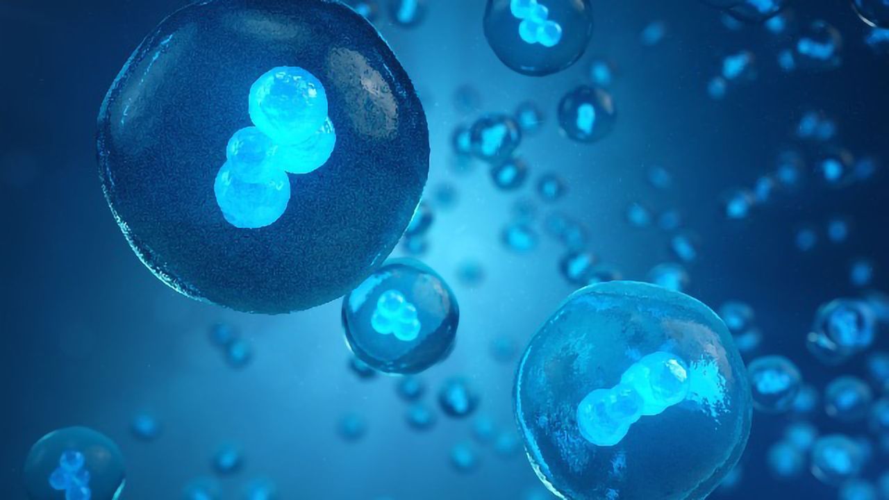 Genetic “Monitors” Can Detect When Genes Are Active
