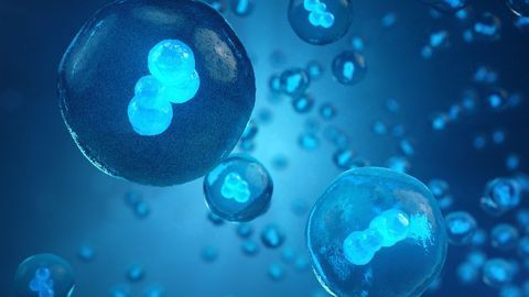Genetic “Monitors” Can Detect When Genes Are Active