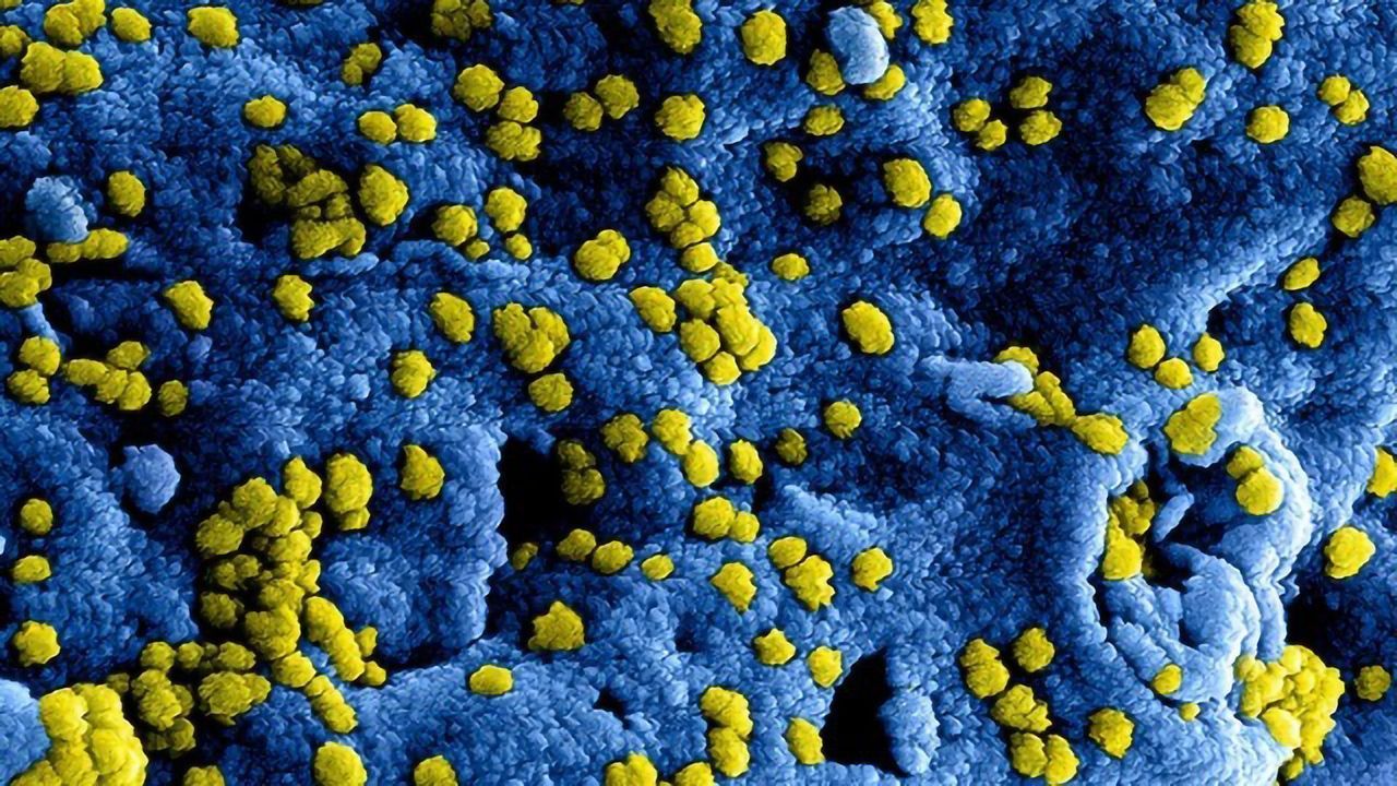 Tracking the Evolution of SARS-CoV-2 Mutations