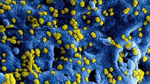 Tracking the Evolution of SARS-CoV-2 Mutations