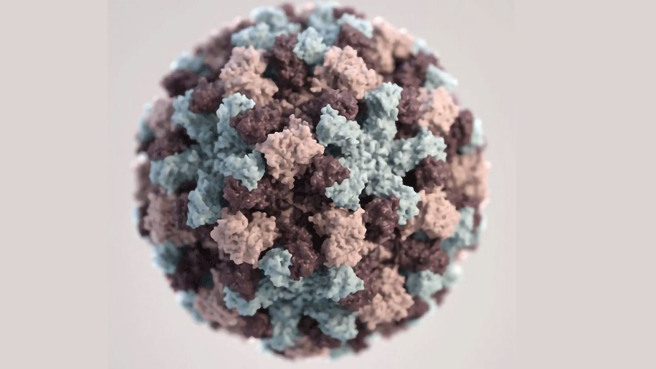 Mycobacteria's Prophage Gatekeeper to Phage Attacks