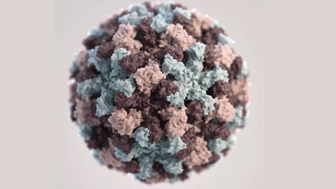 Mycobacteria's Prophage Gatekeeper to Phage Attacks