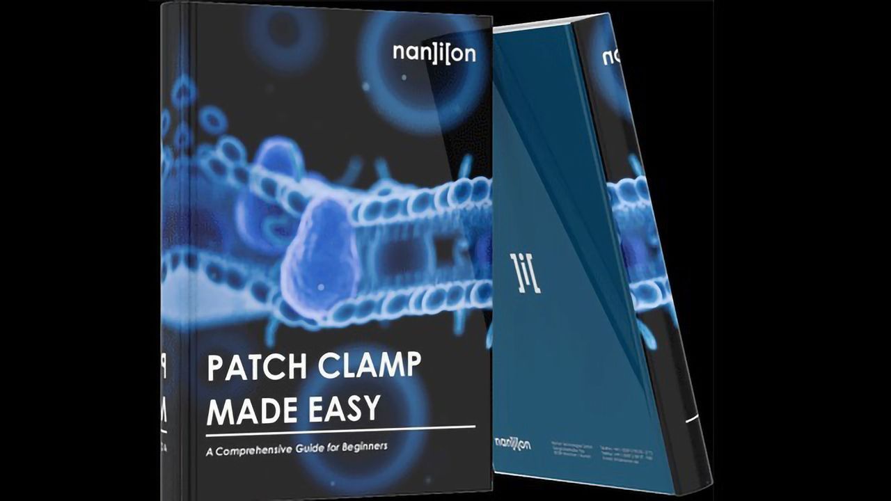 Patch Clamp Made Easy
