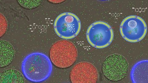 Artificial Cell-on-a-Chip Imitates Biochemical Reactions Inside Cells