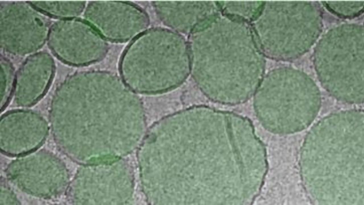 Turning the Virus’ RBD Into a Nanoparticle an Appealing Approach for COVID-19 Vaccine