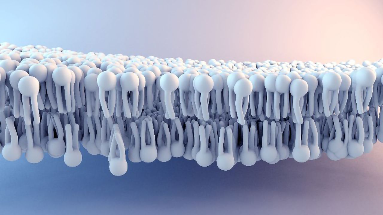 The 6 Leading Technological Advancement Trends in Lipidomics