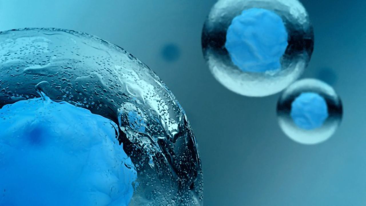 The Culture of Cell Culturing: Be Careful Not To Contaminate!