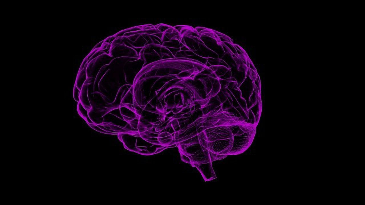 Cocaine and Sucrose Rewards Recruit Different Seeking Ensembles in the Nucleus Accumbens