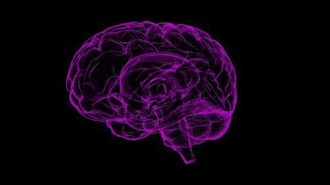 Cocaine and Sucrose Rewards Recruit Different Seeking Ensembles in the Nucleus Accumbens