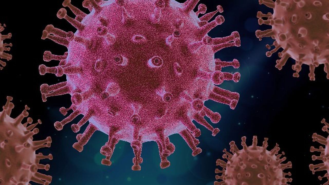 SARS-CoV-2 Spike Proteins Disrupt the Blood-Brain Barrier, New Research Shows