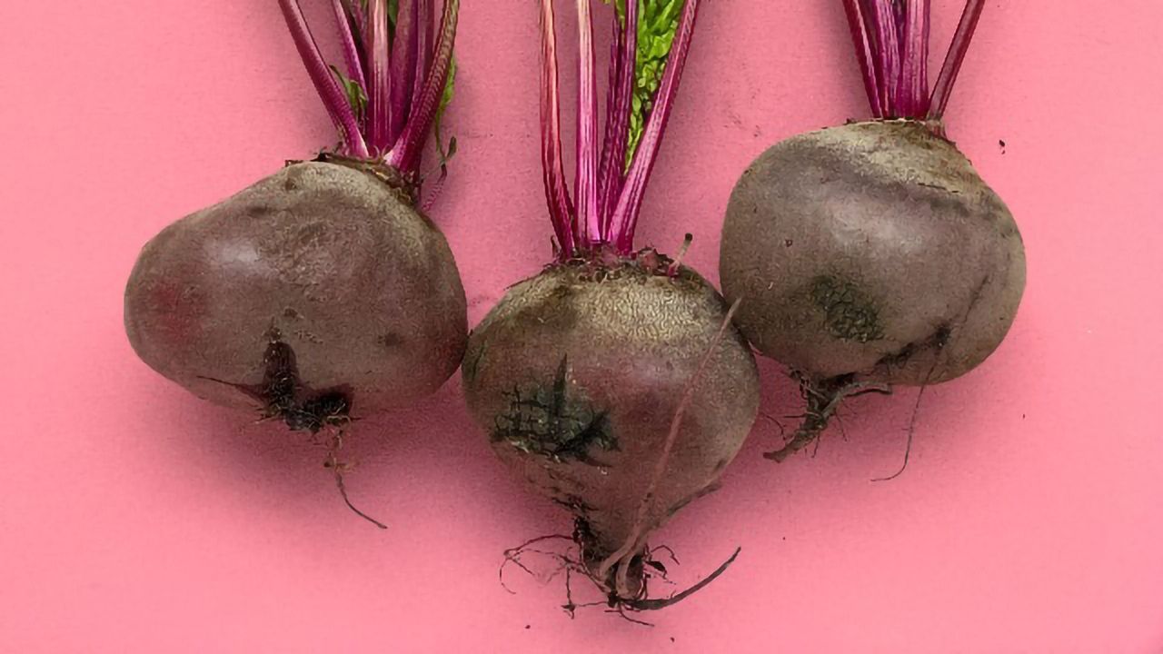 Peptide Found in Beetroot a Potential Drug Candidate for Neurodegenerative Diseases