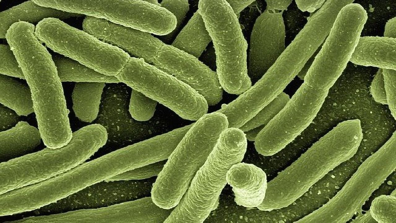 Healthcare and Agriculture Could Benefit from Bacterial Enzymes