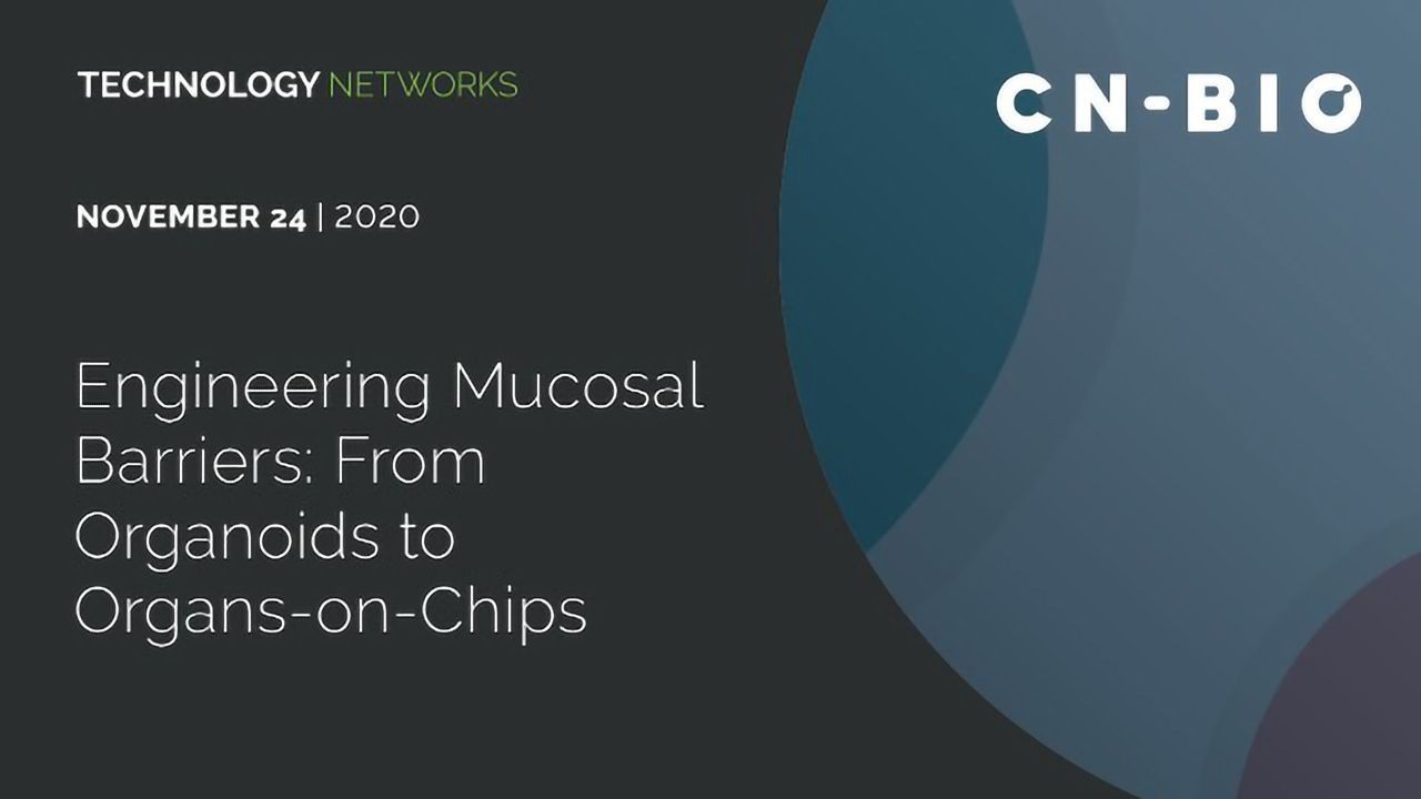 Engineering Mucosal Barriers: From Organoids to Organs-on-Chips