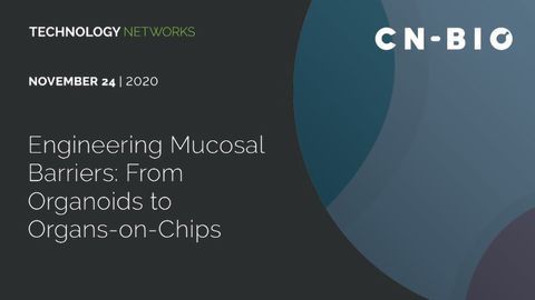 Engineering Mucosal Barriers: From Organoids to Organs-on-Chips