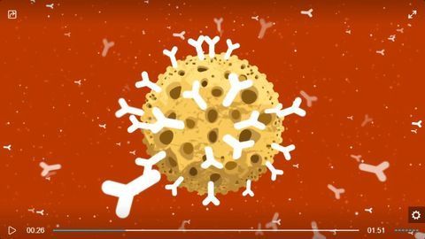 Myths of IP - Invitrogen Dynabeads Magnetic Beads Are Expensive