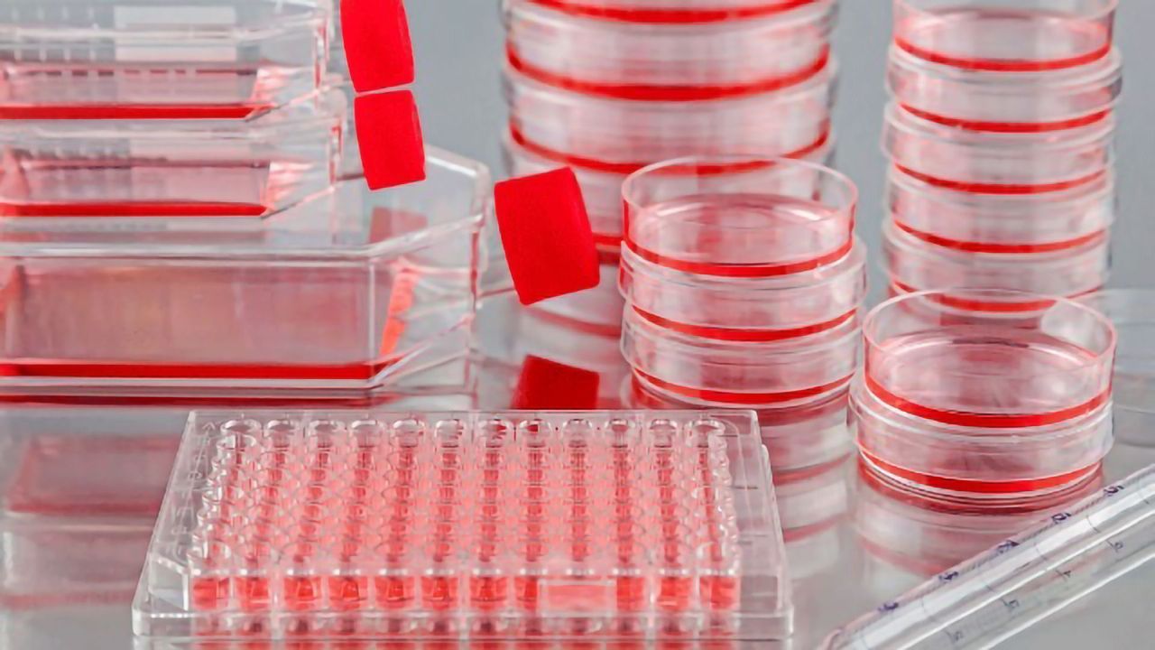 The Cytomat Automated Incubator Series and the Air Purging System
