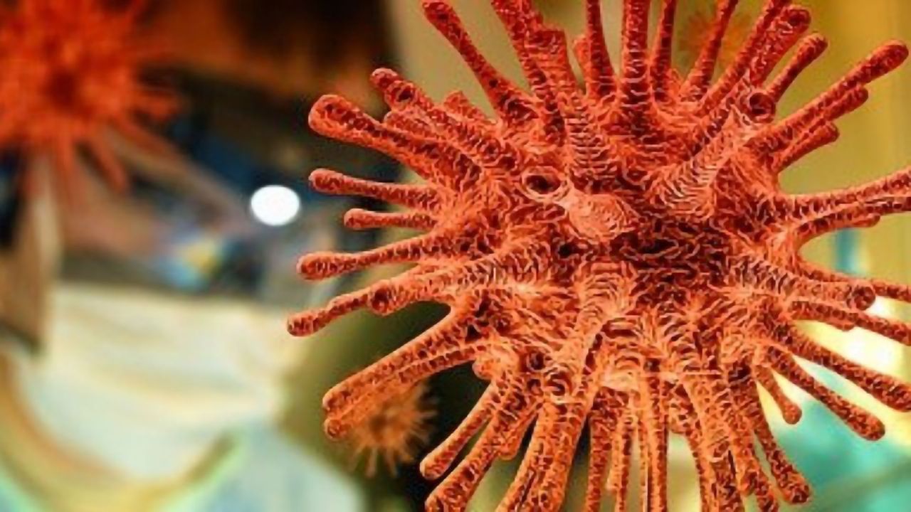 T-Cell Responses to SARS-CoV-2 Still Present Six Months After Initial Infection