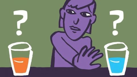 How Distinct Sets of Decision-Making Neurons Fire To Map Our Choices