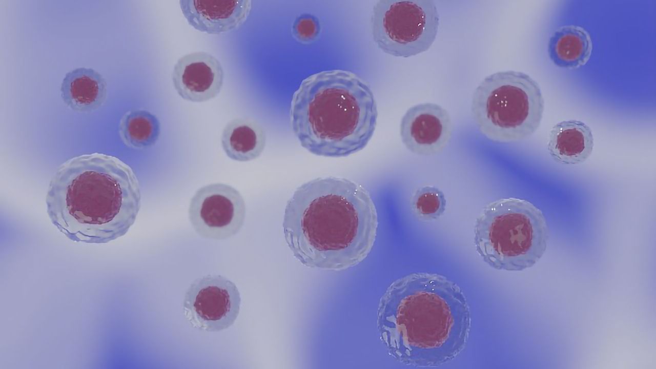 Cells Transform Themselves in Male Worms To Improve Mating