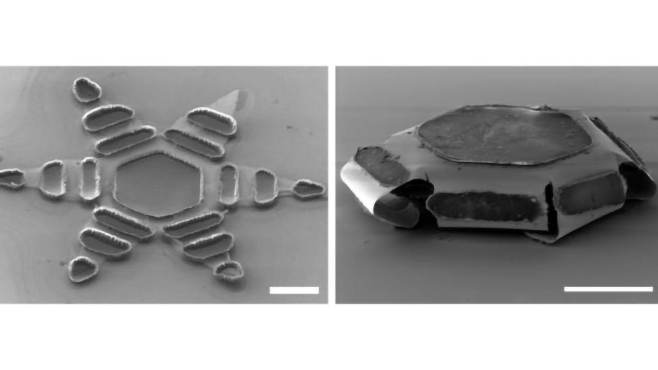 Star-Shaped Device Designed To Release Drugs More Efficiently