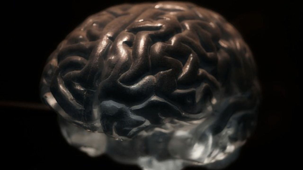 Brain Swelling After Injury Offers an Unexpected Protection