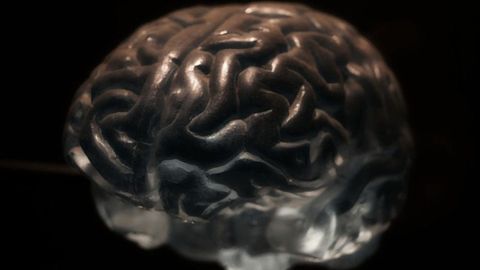 Brain Swelling After Injury Offers an Unexpected Protection