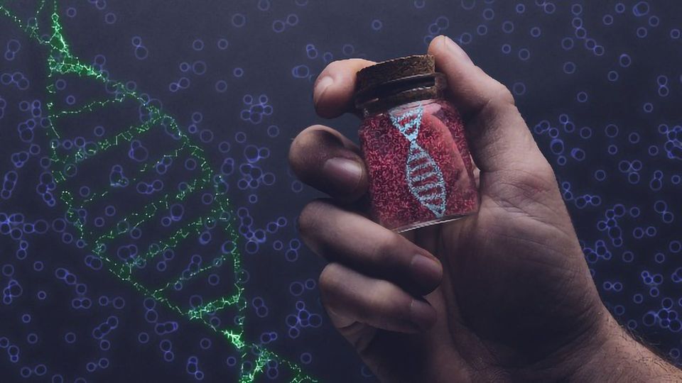 Why Are Some Genes Selfish? content piece image