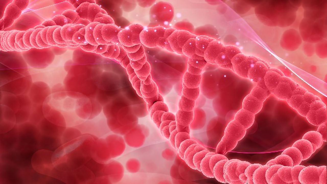 New Second Generation Gene Drive Approach Overcomes Issue of Resistance in Females