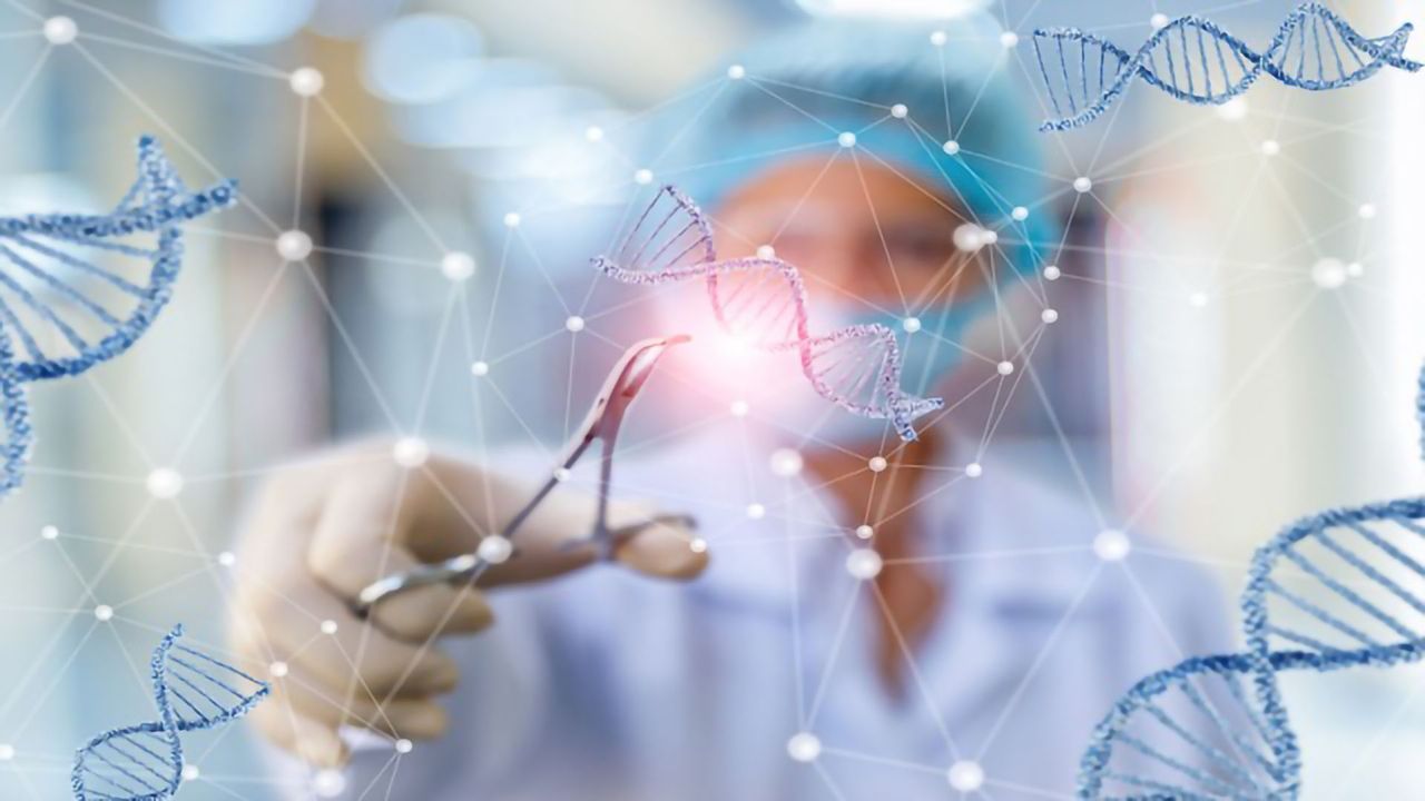 Detailed Analysis of CRISPR-Based Gene Editing in Human Embryos Identifies Issues