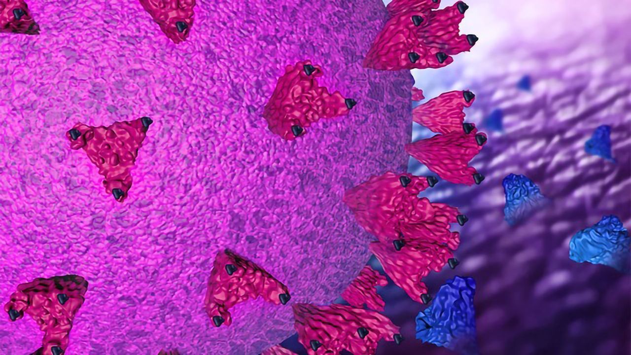 Synthetic Mini-Antibody Binds to and Neutralizes SARS-CoV-2